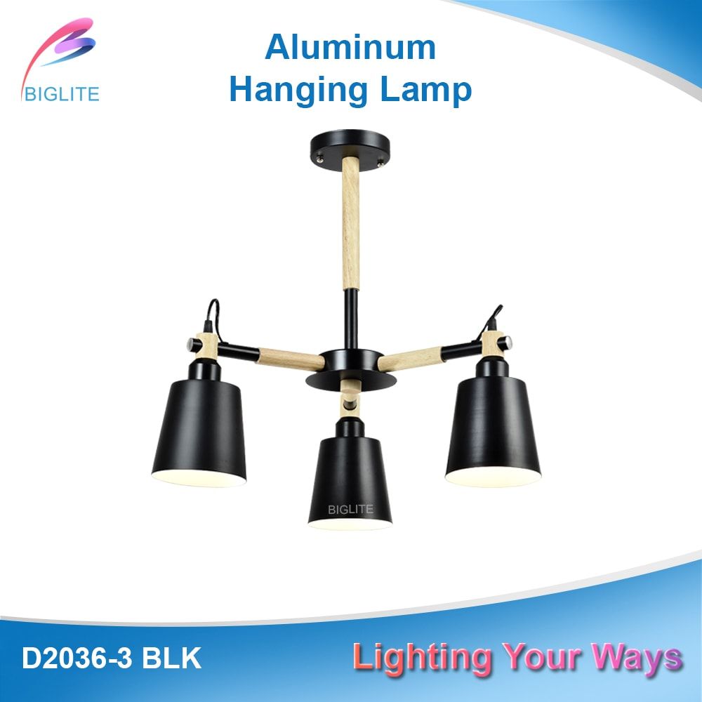 biglite ceiling lamp