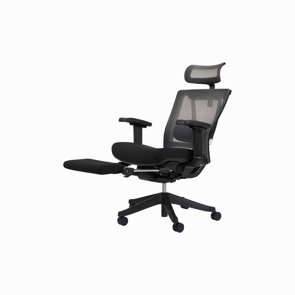 flexispot ergochair