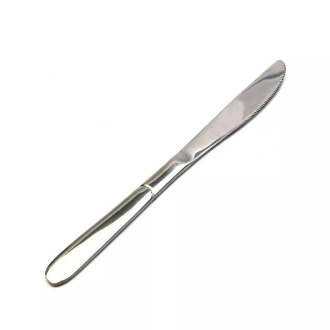 Exclusive Table Knife Stainless Steel AllHome
