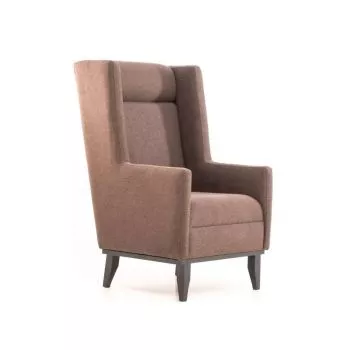 Buy Accent Chairs Philippines For Living Room Modern AllHome